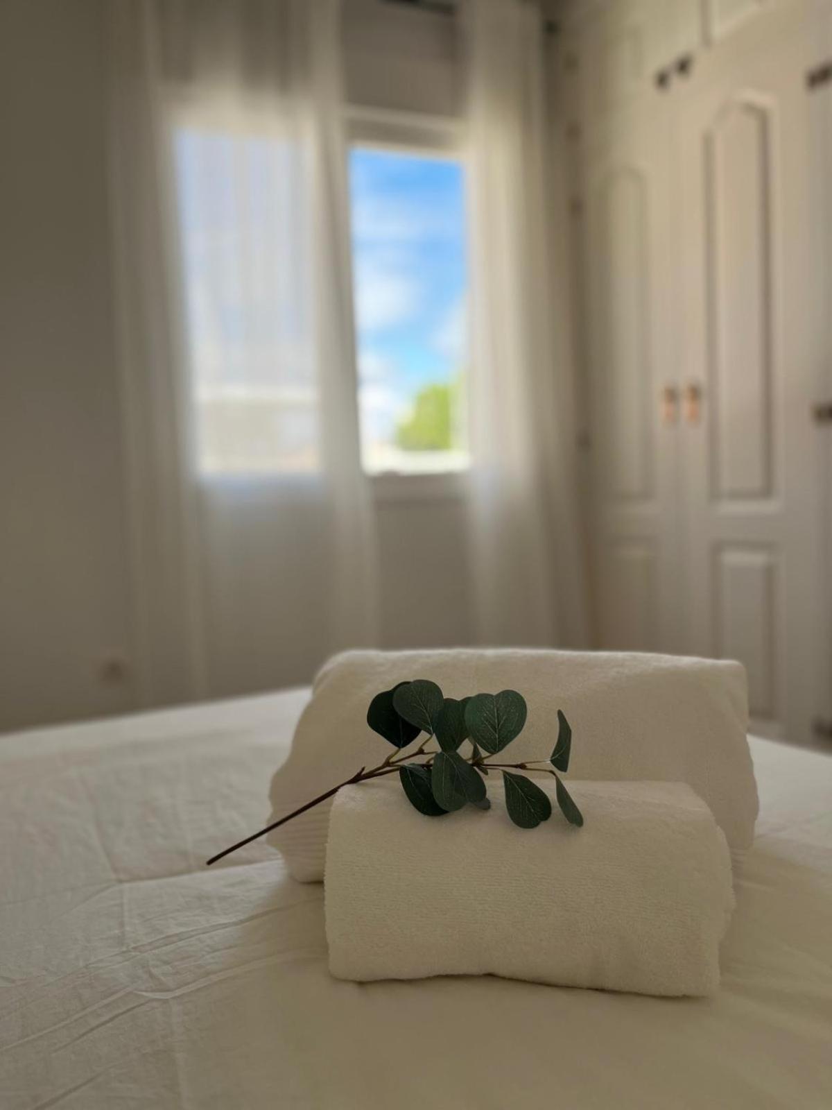 Malaga Prime Location - Stylish Apartment With Free Wifi, Free Parking, Steps From The Historic Center Exterior foto
