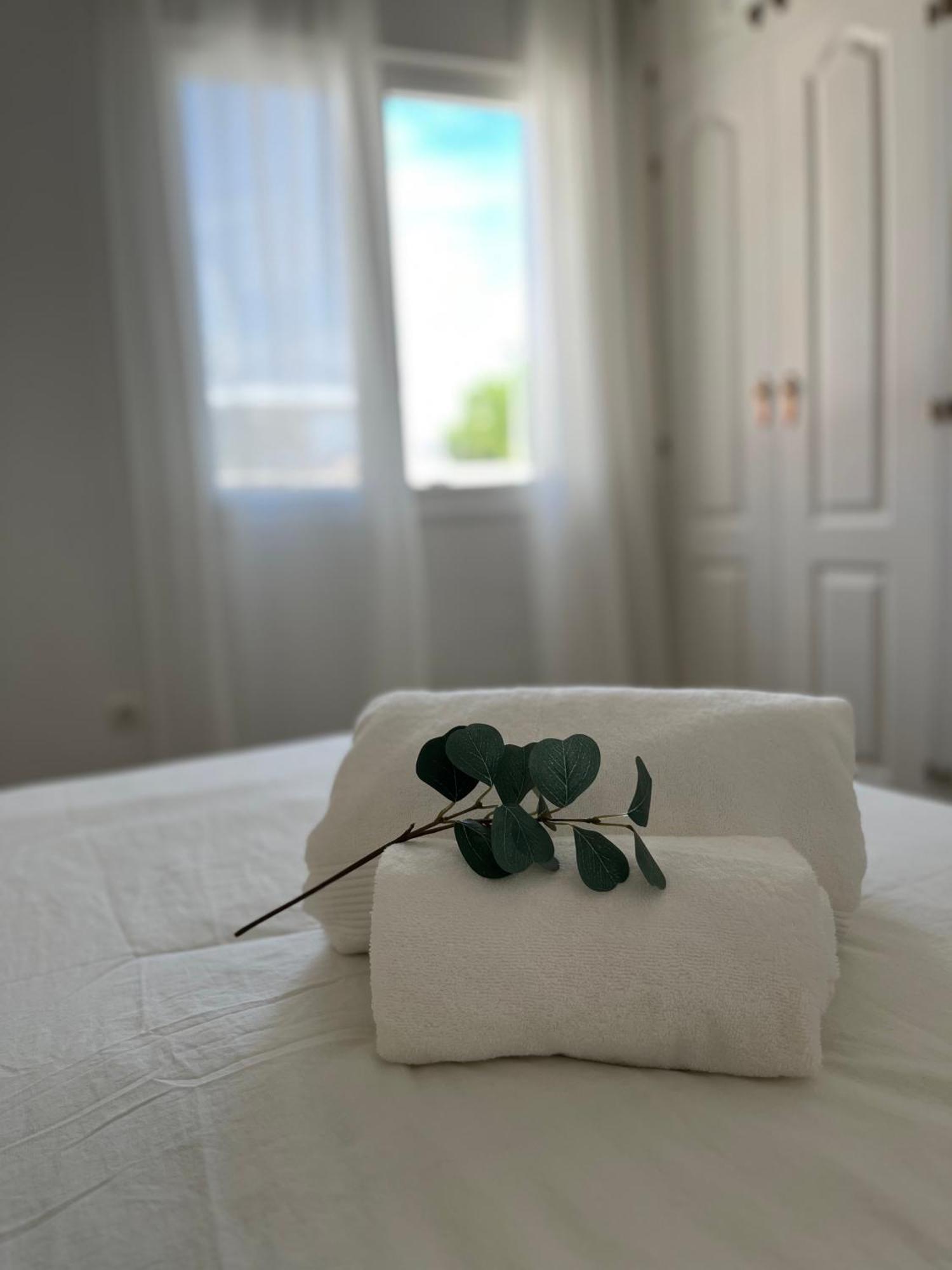 Malaga Prime Location - Stylish Apartment With Free Wifi, Free Parking, Steps From The Historic Center Exterior foto